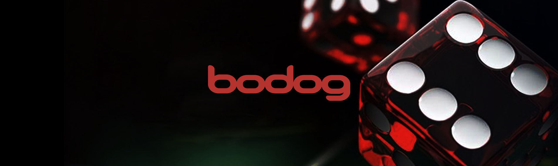 Saiba o que são os blinds no poker - Bodog